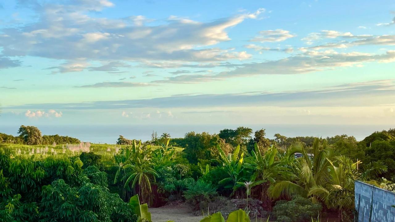 Les Villas De La Ligne Des Bambous Ravine des Cabris Bagian luar foto