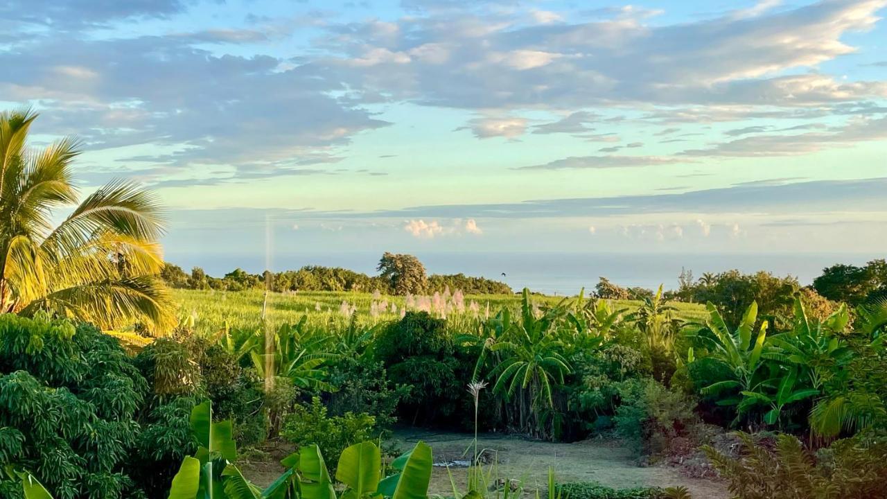 Les Villas De La Ligne Des Bambous Ravine des Cabris Bagian luar foto