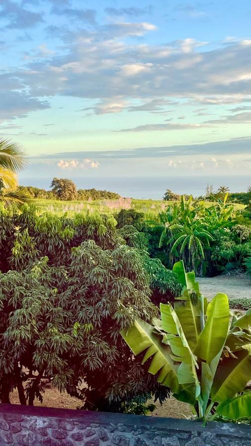 Les Villas De La Ligne Des Bambous Ravine des Cabris Bagian luar foto