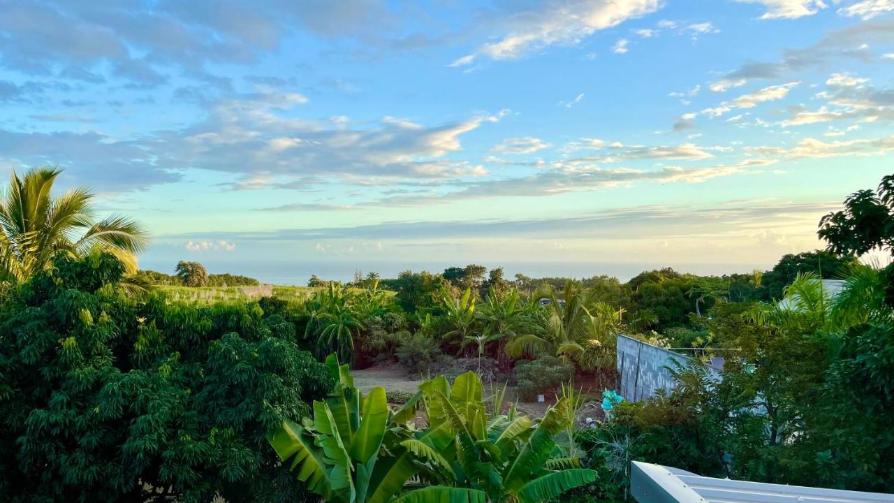 Les Villas De La Ligne Des Bambous Ravine des Cabris Bagian luar foto